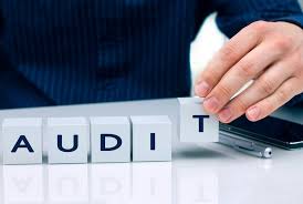 audit services