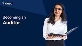 insurance auditor