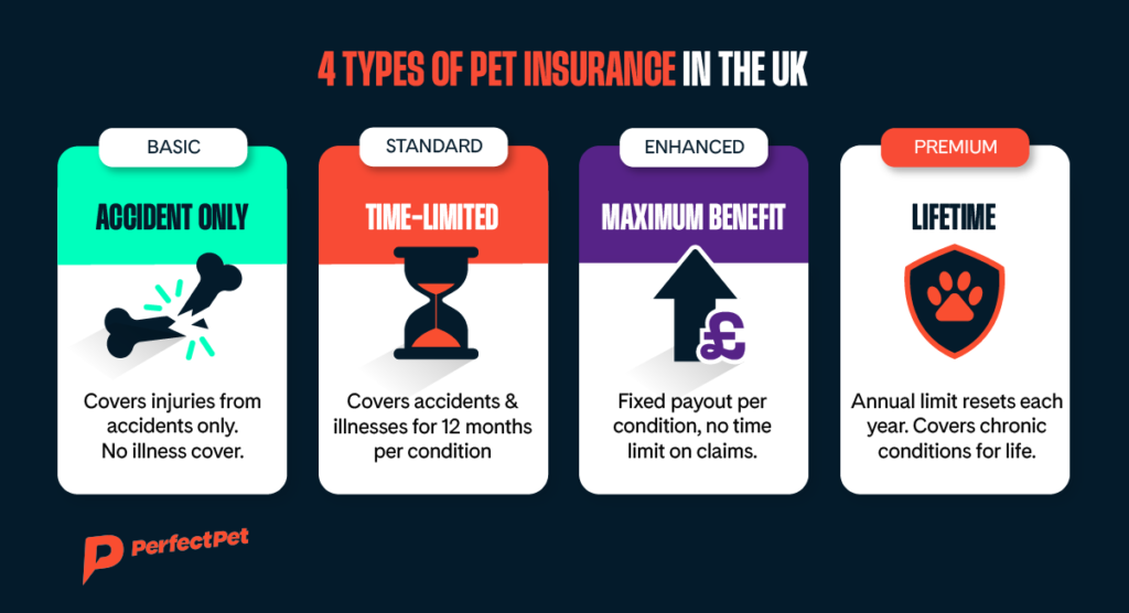 insurance uk comparison